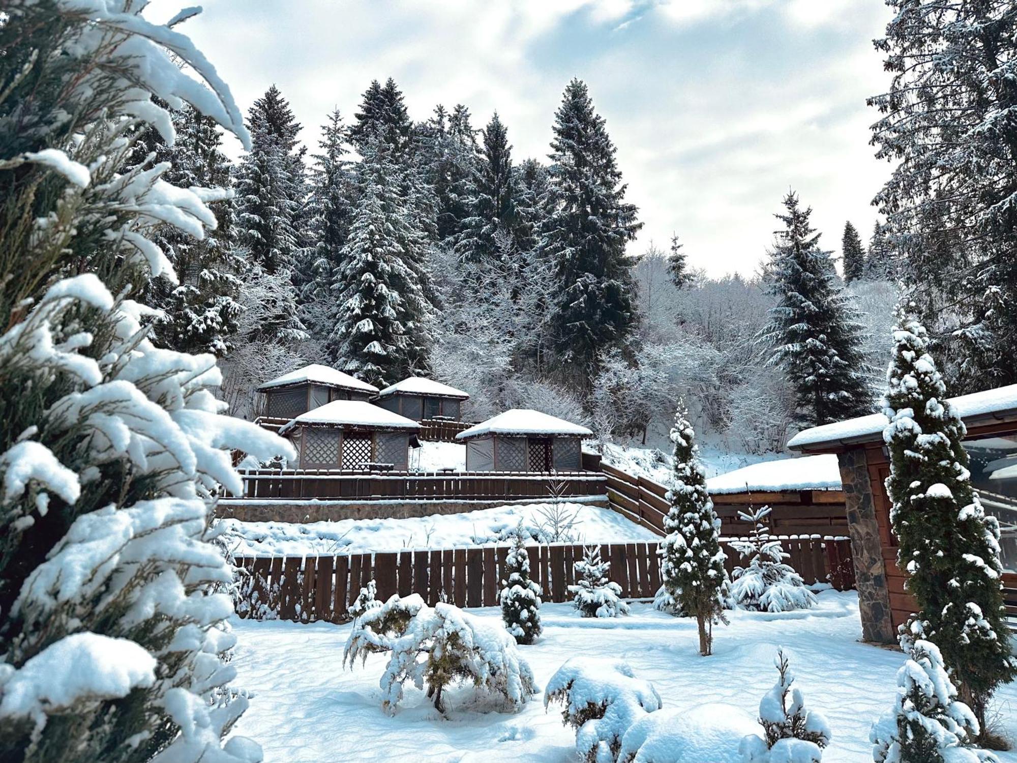 Chalet Filvarok Slavskoje Eksteriør bilde